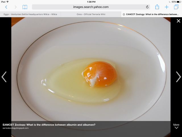 File:Eggs.png