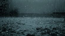 Rainy