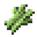 Sugar cane