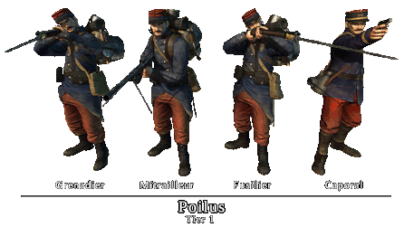 Polius