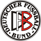 DFB 1911.png