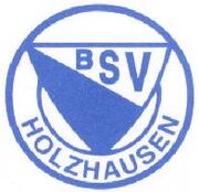 BSVLogo