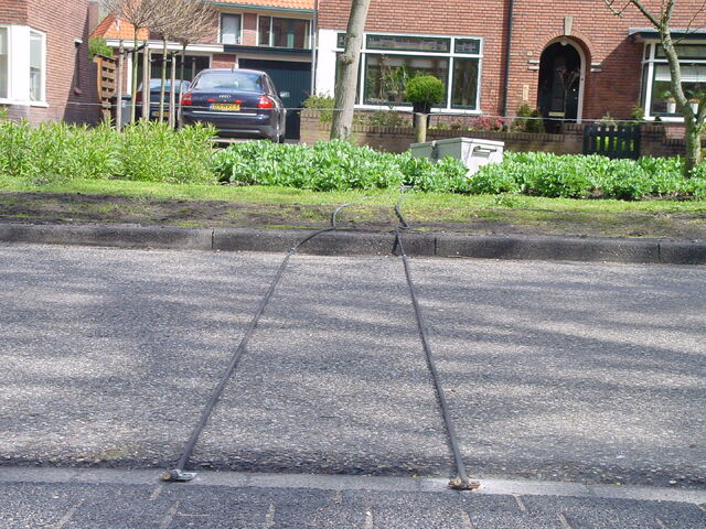 Bestand:Telslang1.jpg