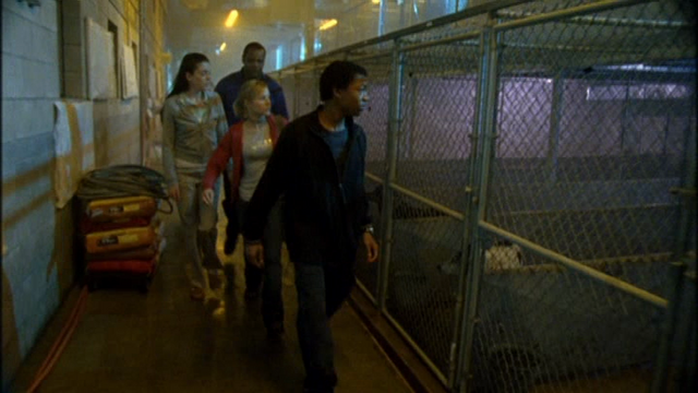 File:Hot Dogs.png