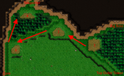 Jungle upper