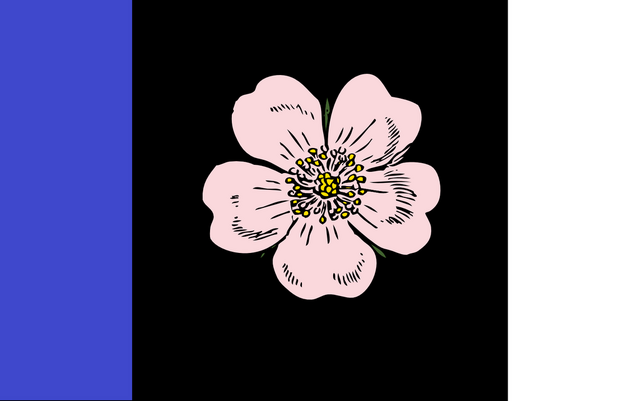 File:AB Flag Propopsal Robo-Diglet.png