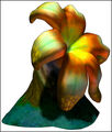 Thumbnail for version as of 05:00, July 15, 2011