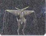 892