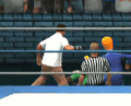 Thumbnail for version as of 11:50, July 23, 2014