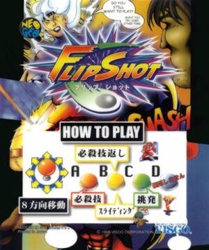 FlipShotMVS