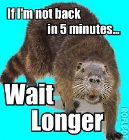 File:Wait longer.jpg