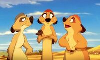 Timon Ma Tio Max.jpg