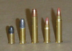 Rimfire Family 2