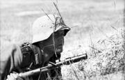Bundesarchiv Bild 101I-732-0123-15, Russland, Soldat der Div. »Großdeutschland«