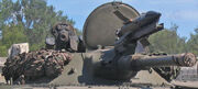 BMP-1 AP 2