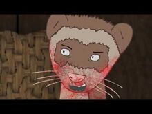 Ferret