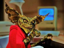250px-Gremlins-2-wallpaper 53441 7176