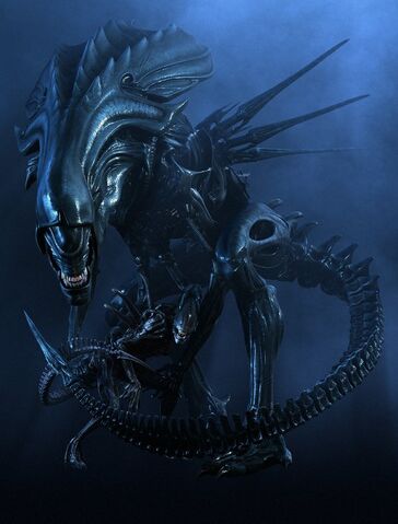 File:AlienQueen.jpg