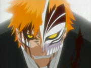 Ichigo (241)