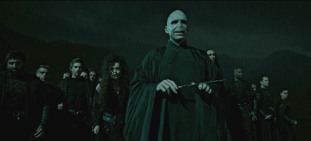 File:Lord Voldemort & the Death Eaters.jpg