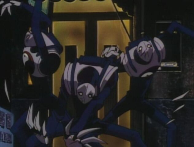 File:Deadly Kei Pirates.jpg