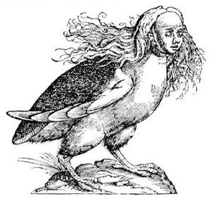 Harpy