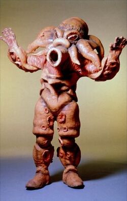 Octophantom