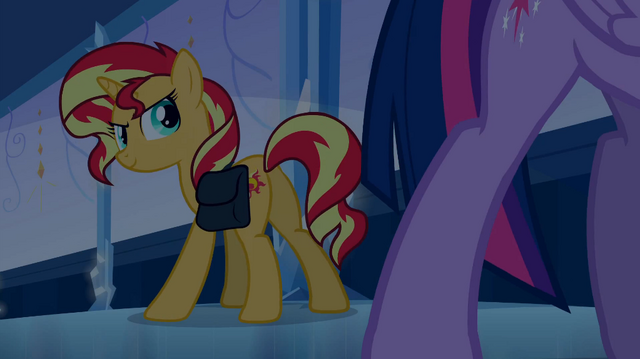 File:SunsetShimmerandTwilightSparkle.png