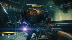 Telthor Unborn