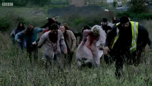 Zombies - ISAZA