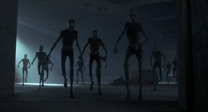 The Boneys
