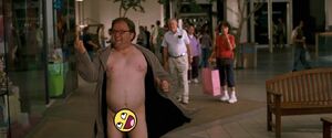 The Flasher