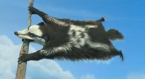 Badger
