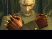 Volgin09