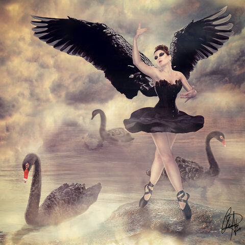 File:Odile the Black Swan.jpg