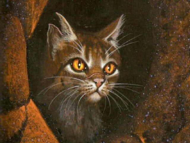 File:Tigerstar.jpg