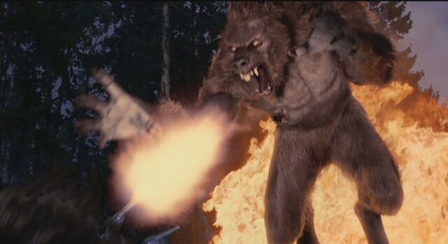 File:VanHelsingWolfman.jpg