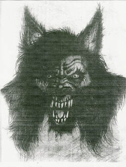 Michigan Dogman illustration