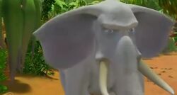 Zanco
