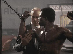 Action Jackson dellaplane