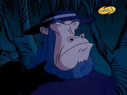 Ape Judge