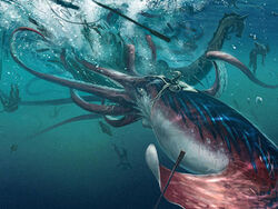The Kraken