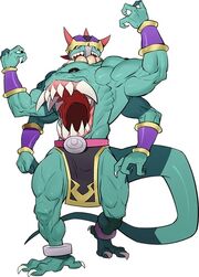 Ashura-DS