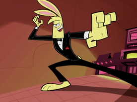 Jackrabbit