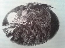Eostra's eagle owl 2