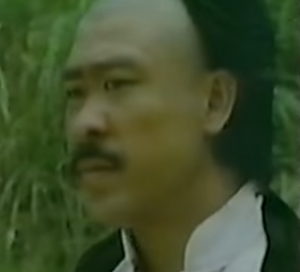 Lu Ting