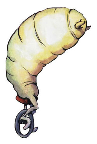 File:PedroPupa.jpg