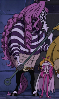 Minozebra