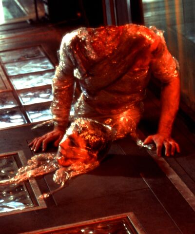 File:The Torso.jpg