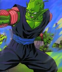 Piccolo2